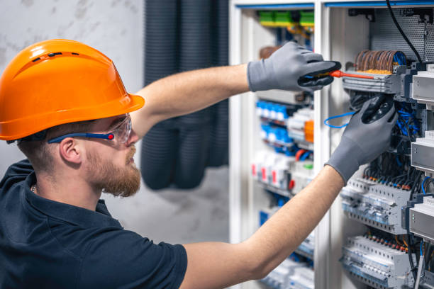 Best Electric Panel Repair  in Langley, SC